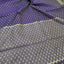 Exclusive art tussar Banarasi silk saree