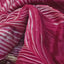 exclusive pure organza Arshi  crush dye Banarasi saree